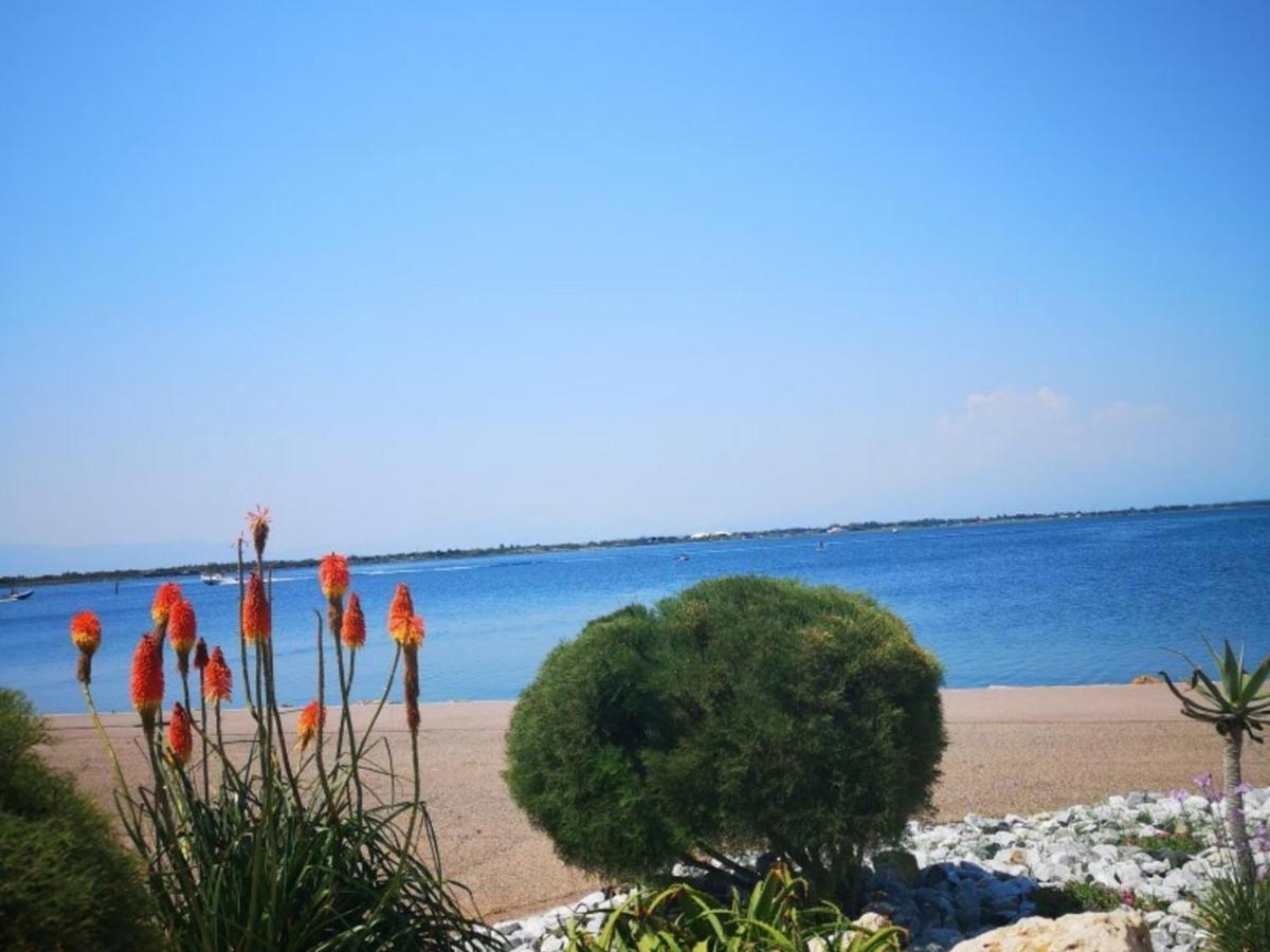 Appartement 4 Pers - Le Barcares - Piscine, Parkings, Terrains De Sport, Fitness - Fr-1-195-25 المظهر الخارجي الصورة